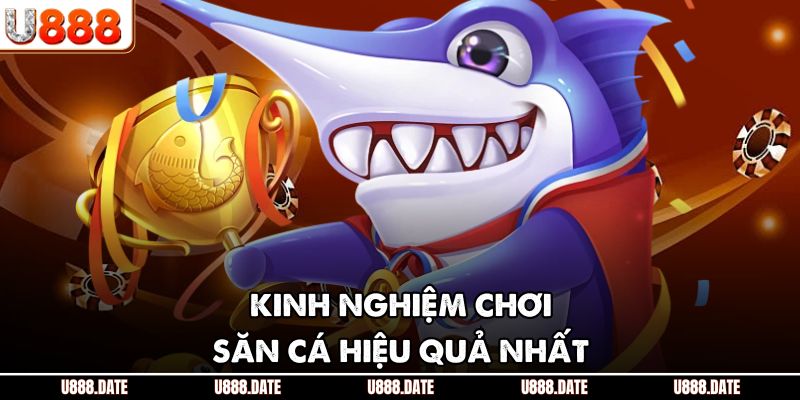 Kinh nghiệm chơi săn cá hiệu quả nhất